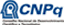 Logo CNPQ